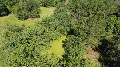 Additional listing photo 4