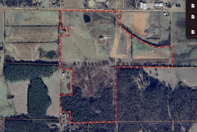 Custom Home on 96 Acres in Hector, Arkansas - Built in