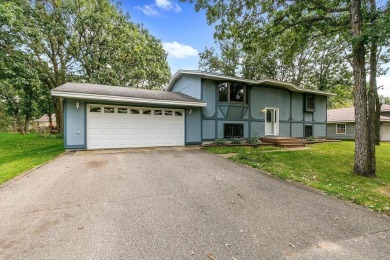 Lake Home For Sale in Clear Lake, Minnesota