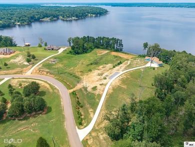 Build your dream lake home on beautiful Lake D'Arbonne! Lot 2 in - photo 11