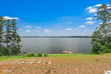 Build your dream lake home on beautiful Lake D'Arbonne! Lot 2 in - photo 14