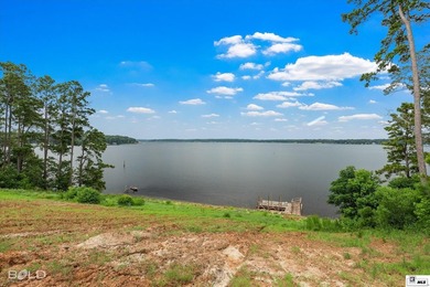 Build your dream lake home on beautiful Lake D'Arbonne! Lot 2 in - photo 15