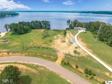 Build your dream lake home on beautiful Lake D'Arbonne! Lot 2 in - photo 16