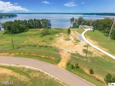 Build your dream lake home on beautiful Lake D'Arbonne! Lot 2 in - photo 17