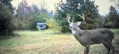 (private lake, pond, creek) Acreage Sale Pending in Belleville Michigan