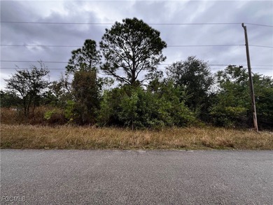 Lehigh Acres Area Lot Sale Pending in Lehigh Acres Florida