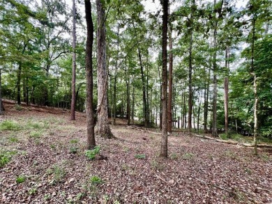 Lake Lot For Sale in Etoile, Texas