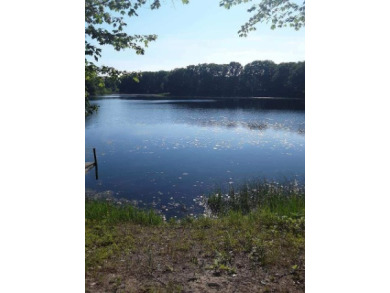 Alice Lake Lot For Sale in Irons Michigan