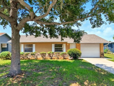 Lake Home For Sale in Umatilla, Florida