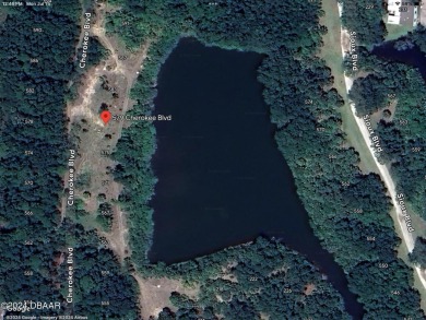 (private lake, pond, creek) Lot For Sale in Oak Hill Florida