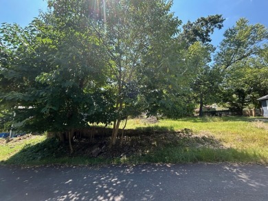 Lake Lot For Sale in Rockaway Beach, Missouri