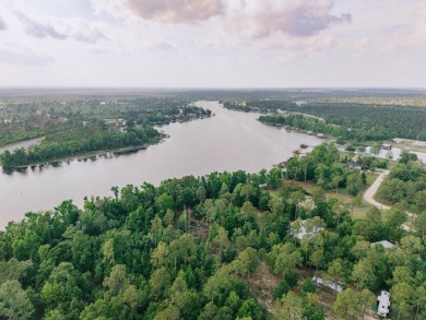 Lake Home For Sale in Donalsonville, Georgia