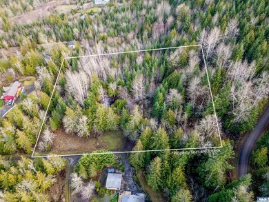 **Easy-access 5-acre property with private well and power - photo 29