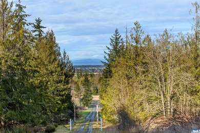 **Easy-access 5-acre property with private well and power - photo 30
