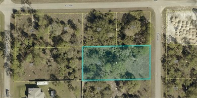 Lehigh Acres Area Lot For Sale in Lehigh Acres Florida