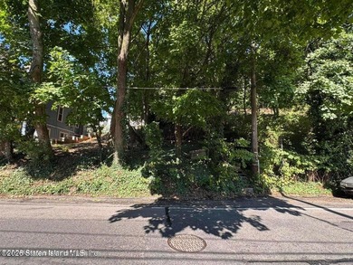 Build a 3,000 sf two-family home with attic and off street - photo 1