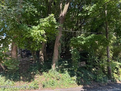 Build a 3,000 sf two-family home with attic and off street - photo 2