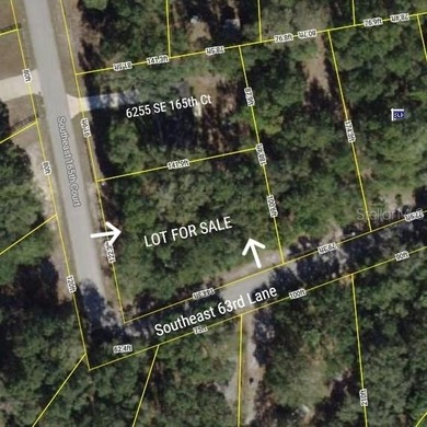 Halford Lake Lot For Sale in Ocklawaha Florida