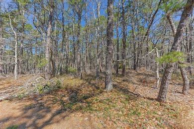 Rare opportunity to secure 1.76 acres in highly desirable - photo 3