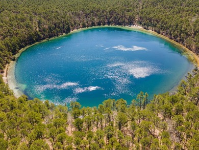 Rare opportunity to secure 1.76 acres in highly desirable - photo 8