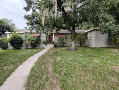 Lake Home For Sale in Mount Dora, Florida