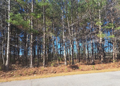 Lake Marion Acreage For Sale in Santee South Carolina