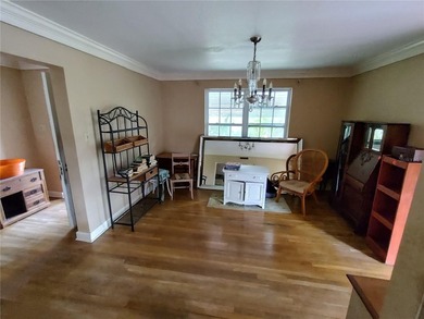 Located less than a mile from Historic Downtown Mount Dora, this - photo 5