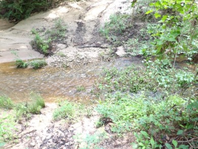 Ratcliff Lake Acreage For Sale in Kennard Texas