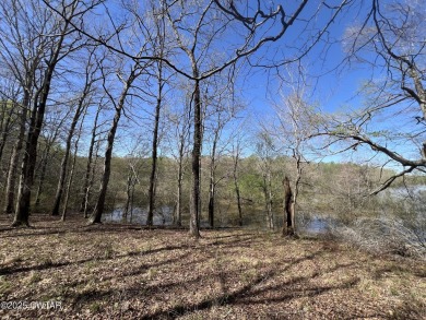 Lake Acreage For Sale in Cedar Grove, Tennessee