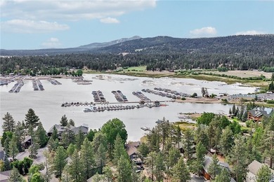 Prime lakefront living at its finest! This turnkey waterfront - photo 8