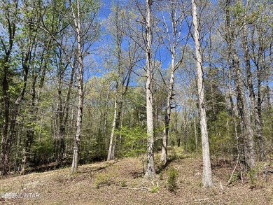 Absolutely beautiful 3.4 acre lot in the gated Indian Lake - photo 3