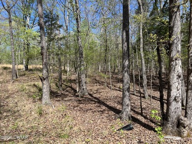 Absolutely beautiful 3.4 acre lot in the gated Indian Lake - photo 8