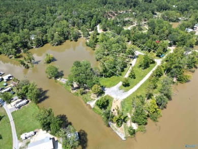 Lake Lot For Sale in Cedar Bluff, Alabama