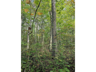 (private lake, pond, creek) Acreage For Sale in Oakvale West Virginia