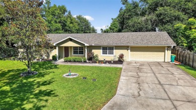 Lake Dora Home For Sale in Mount Dora Florida