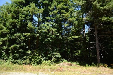 Rare and beautiful subdivision lot w/secluded privacy and Del - photo 11