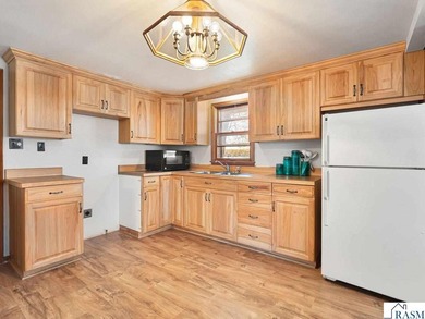 Cute cabin on level lake lot on the north shore of Lake Tetonka! - photo 13