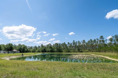 If your own private oasis is what you've been searching for - photo 3