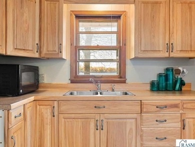 Cute cabin on level lake lot on the north shore of Lake Tetonka! - photo 14