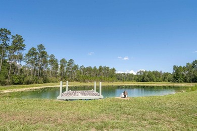 If your own private oasis is what you've been searching for - photo 4