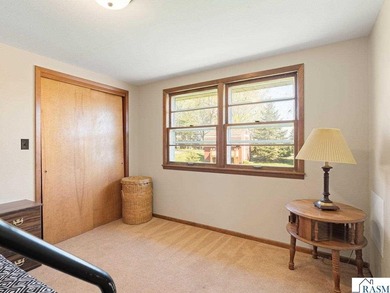 Cute cabin on level lake lot on the north shore of Lake Tetonka! - photo 24