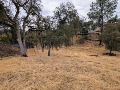 Lake Lot For Sale in Copperopolis, California