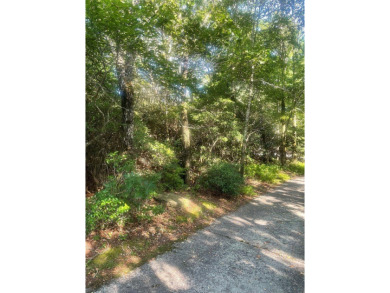 (private lake, pond, coastal) Lot For Sale in Highlands North Carolina