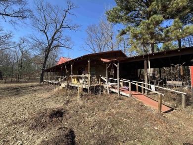 Lake Home For Sale in Tyler, Texas
