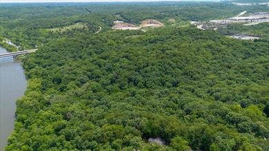 Exceptional 98.4-acre development opportunity with highway - photo 9