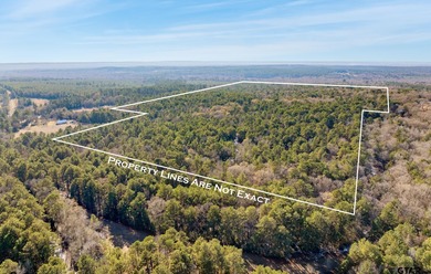 (private lake, pond, coastal) Acreage For Sale in Rusk Texas