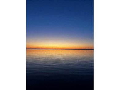 One or more photo(s) has been virtually staged. Under - photo 28
