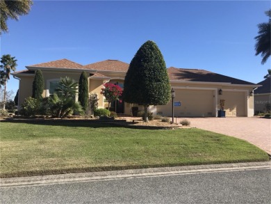 Lake Home Sale Pending in The Villages, Florida