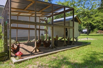 Woodsie and welcoming country style home featuring spacious and - photo 50
