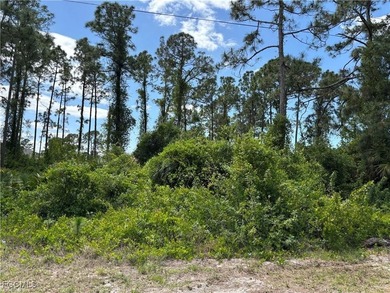 Lehigh Acres Area Lot For Sale in Lehigh Acres Florida